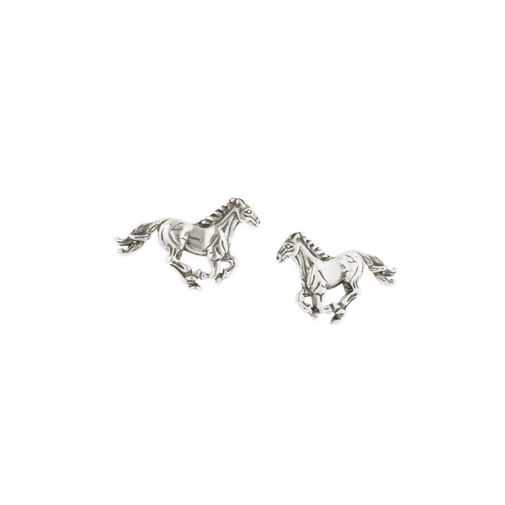 Sterling Silver Earrings 1